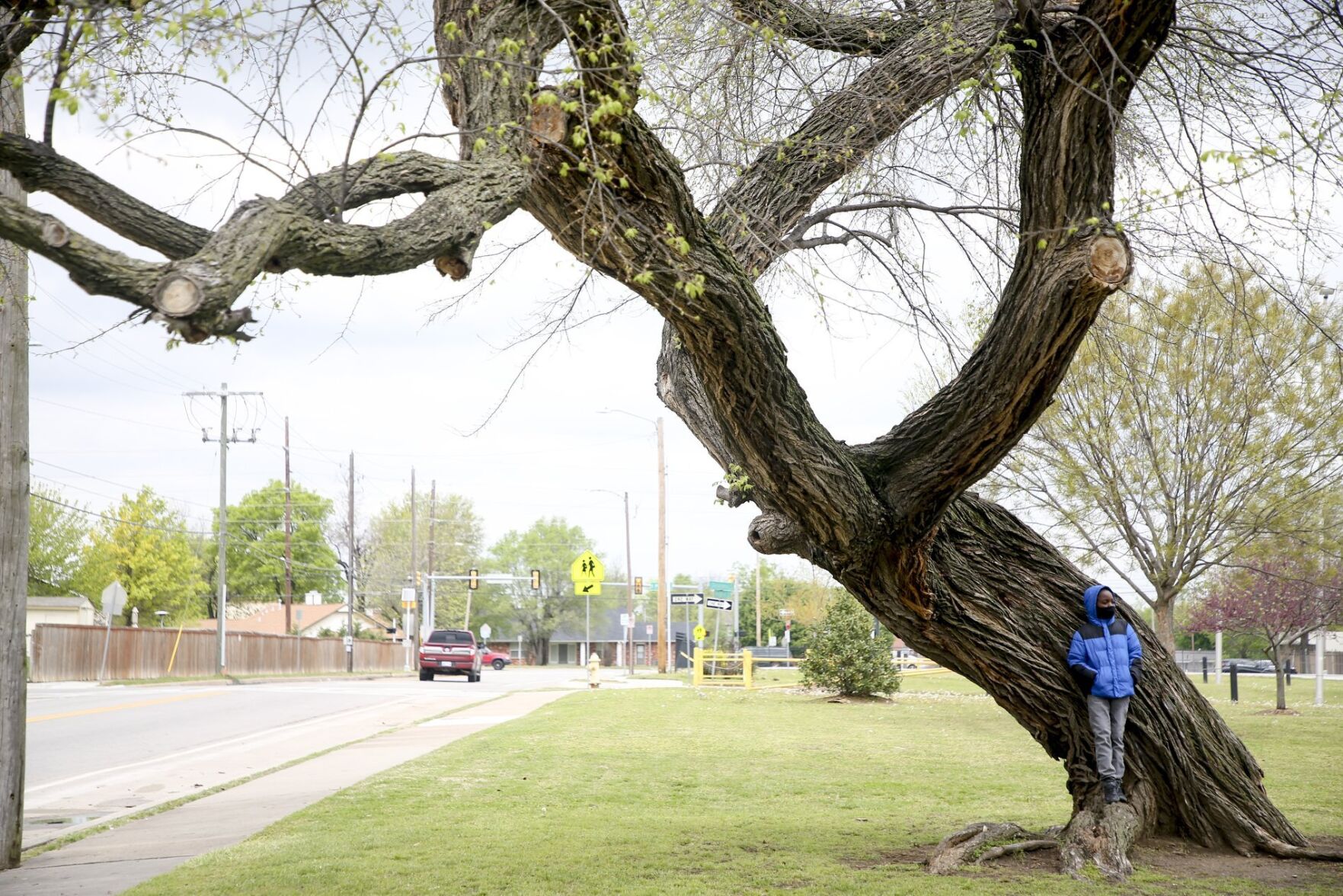 Tulsa Race Massacre Memorial Tree